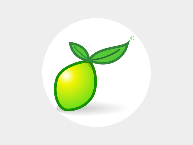 portfolio-limeexport